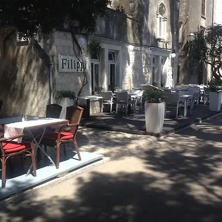 Josip קורצולה